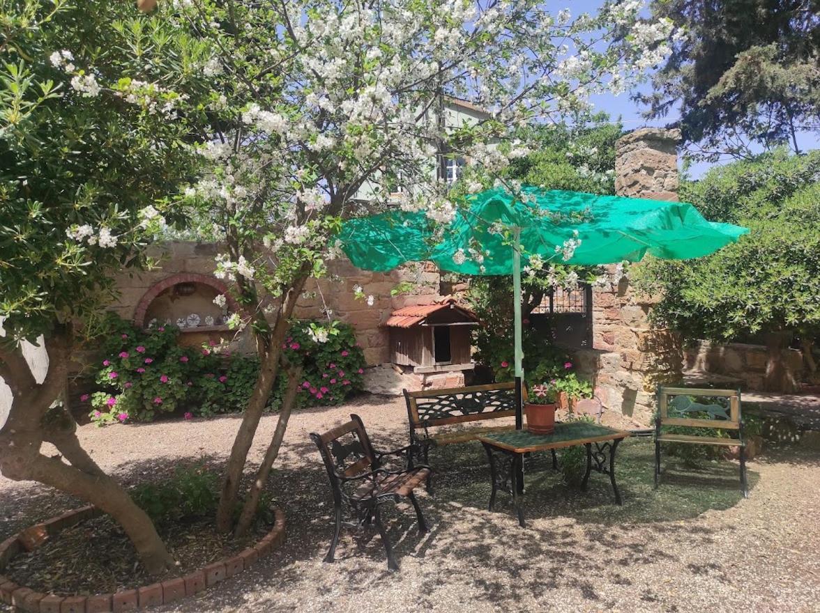 Kleidas Apartments Thymianá Dış mekan fotoğraf