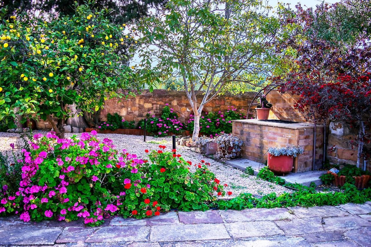 Kleidas Apartments Thymianá Dış mekan fotoğraf