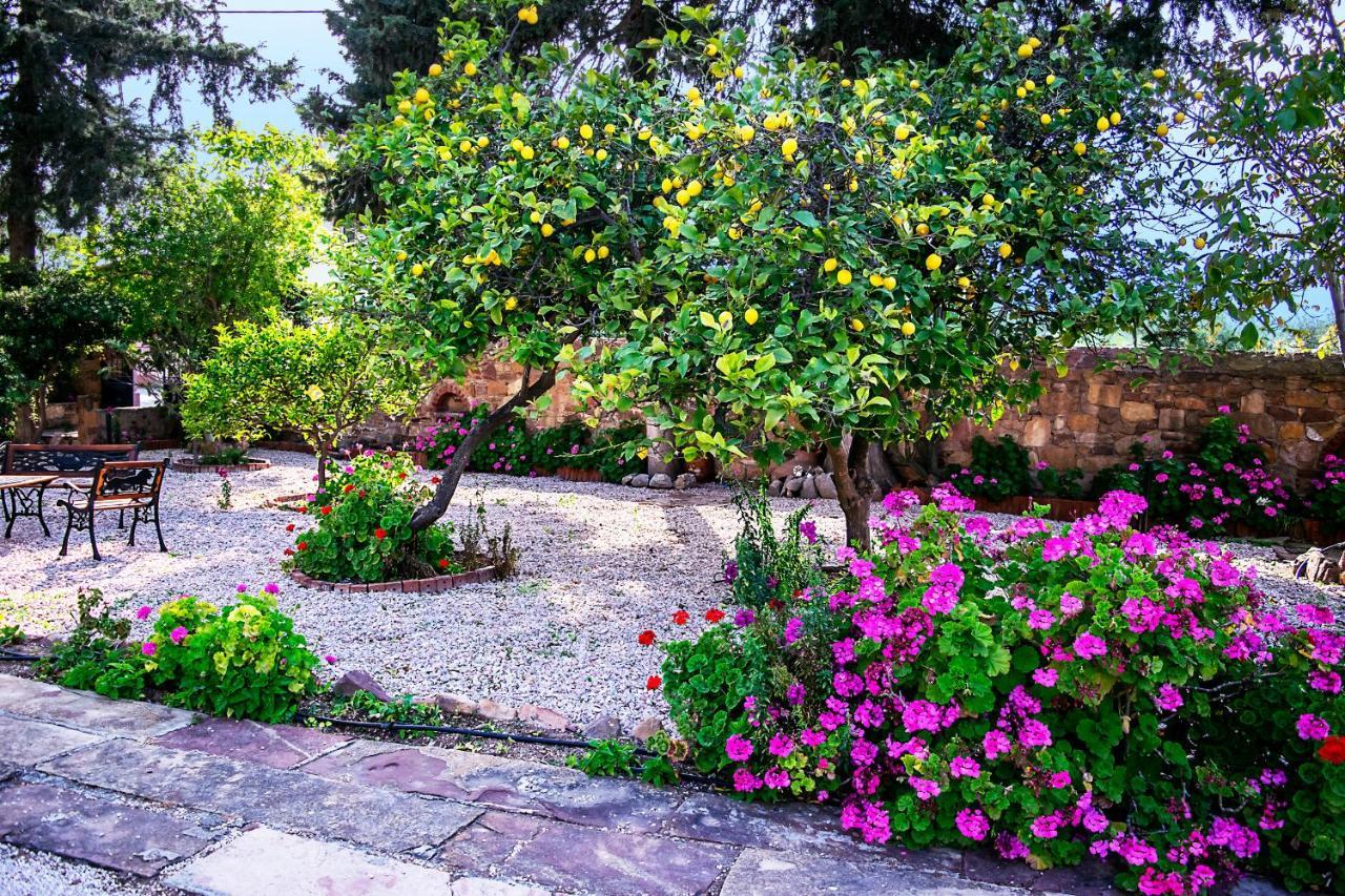 Kleidas Apartments Thymianá Dış mekan fotoğraf